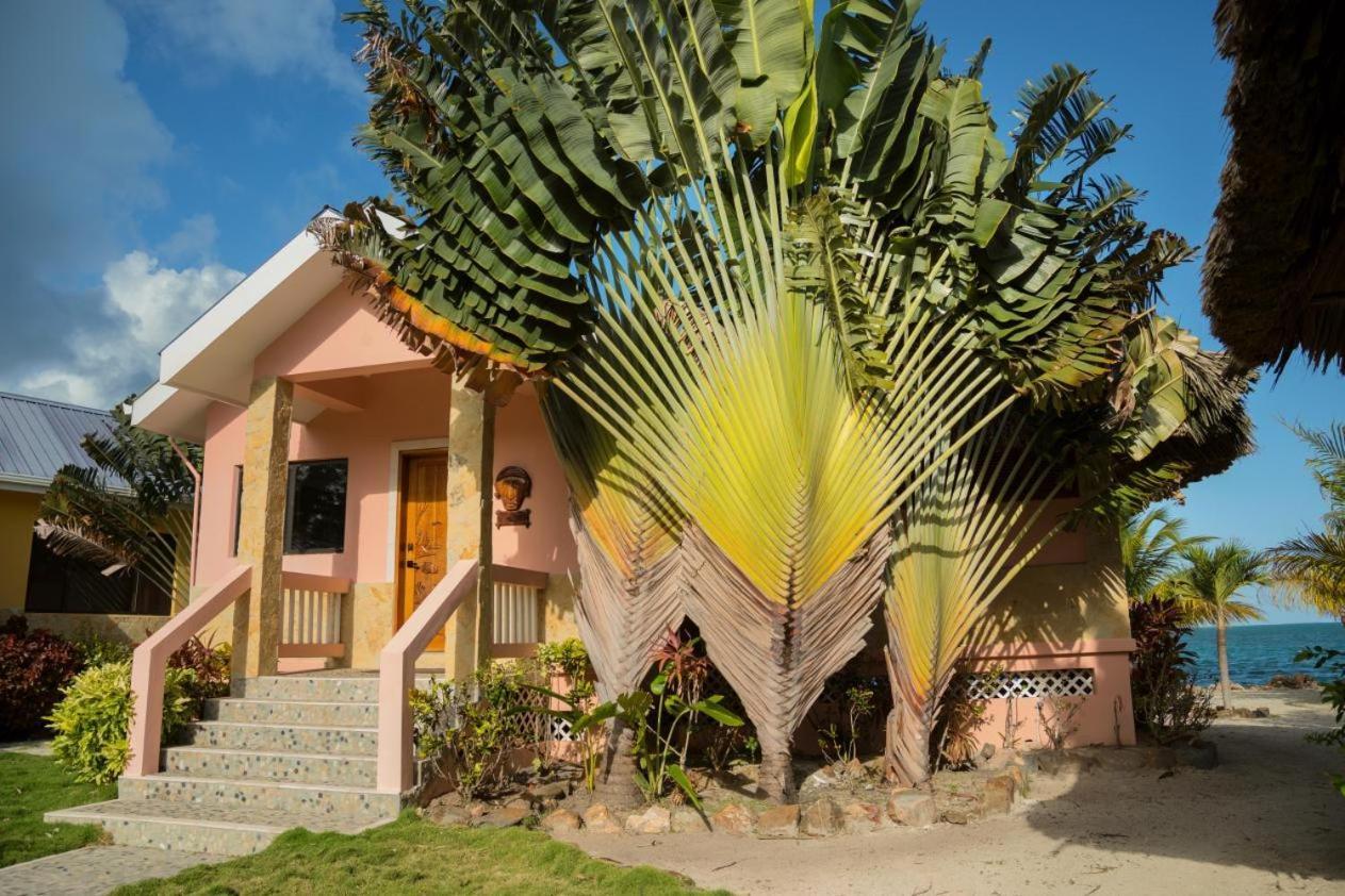 Little Harvest Caye - Your Own Private Island Placencia Bagian luar foto